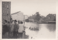 LINZ HOCHWASSER 1954