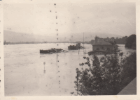 LINZ HOCHWASSER 1954