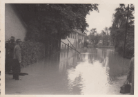 LINZ HOCHWASSER 1954