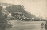 HALLEIN