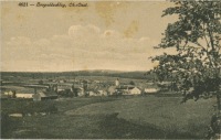 LEOPOLDSCHLAG um 1919