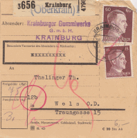 Krainburg