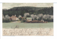 KRUMNUSSBAUM um 1900