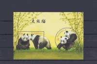 PANDA 2004