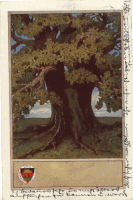 schulv 159