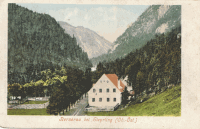 Steyrling