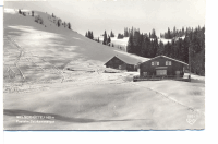 Welser Hütte um 1960