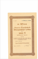 Wels 1924
