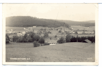 SCHNEEGATTERN um 1950