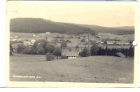 SCHNEEGATTERN 