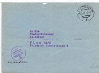 KRUMNUSSBAUM