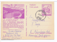 KNITTELFELD