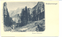GOSAU 