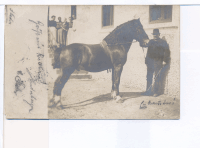 NEUMARKT um 1890