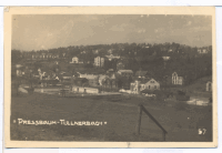 PRESSBAUM