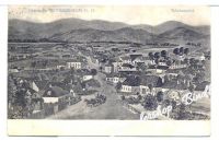MOOSBIERBAUM um 1900