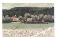 KRUMNUSSBAUM um 1900