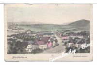 MOOSBIERBAUM um 1920