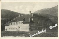 MICHELDORF 1952