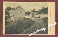 KLEIN-WARTENSTEIN um 1909