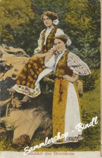 SALUTARI DIN ROMANIA um 1918