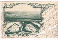 SCHNEEGATTERN um 1899