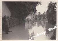 LINZ HOCHWASSER 1954