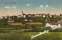 STEINHAUS