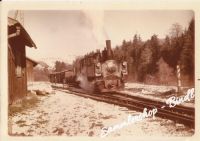 MOLLN 1961