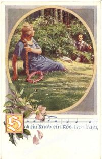 schulv 65