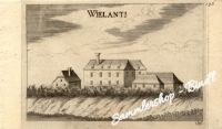 Wielants