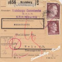 Krainburg