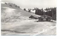 Welser Hütte um 1960