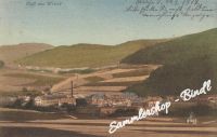 Wiese um 1910