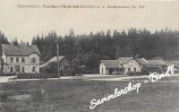 Niederwaldki um  1919