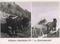 Altenfelden, OÖ
