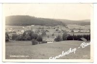 SCHNEEGATTERN um 1950