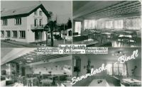 STEINHAUS/WELS