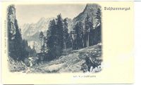 GOSAU 