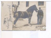 NEUMARKT um 1890