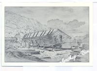 TRAUNER IM BAU