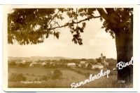 TRAGWEIN um 1950